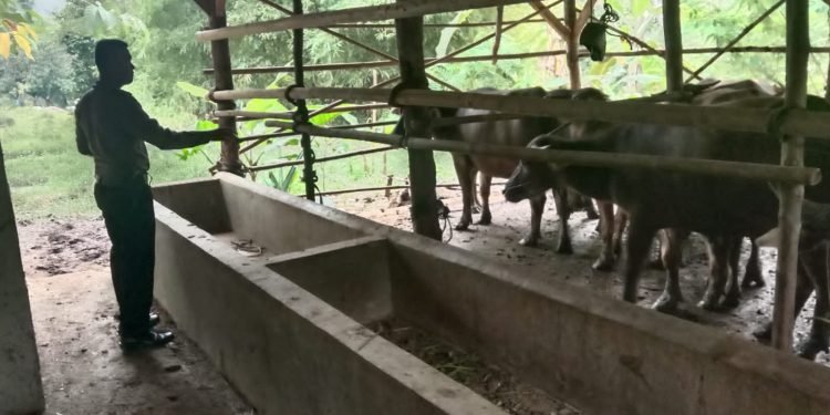 Anggota Polsek Cipanas Polres Lebak Sambangi Peternak Antisipasi (PMK) Penyakit Mulut dan Kuku