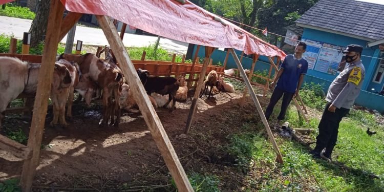 Jelang Hari Raya Idul Adha 1443 H, Personel Bhabinkamtibmas Polsek Mancak Polres Cilegon Pantau Para Pedagang Hewan Qurban
