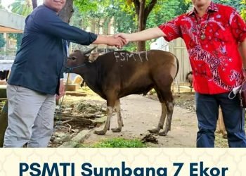 Paguyuban Masyarakat Tionghoa PSMTI “Sumbangkan 7 Ekor Sapi Kurban Ke Masjid Istiqlal