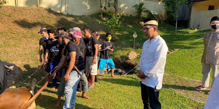 Polda Banten Sembelih 81 Hewan Qurban