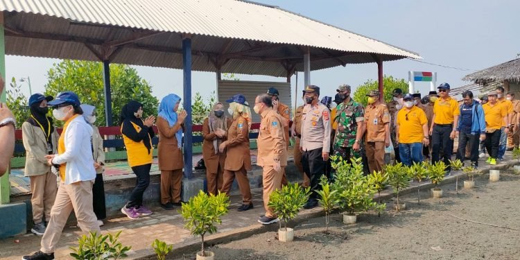8.000 Mangrove Ditanam di Pesisir Lontar Kabupaten Serang