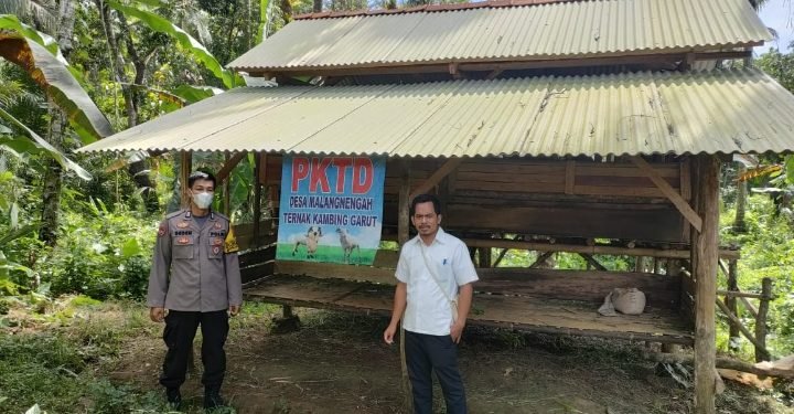 Waspada Penyakit (PMK), Personel Bhabinkamtibmas Polsek Cibaliung Polres Pandeglang Blusukan Ke Kandang Ternak Di Desa Binaan