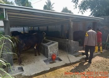 Menjelang Hari Idul Qurban, Bhabinkamtibmas Monitoring PmK kepada Pemilik Hewan Ternak