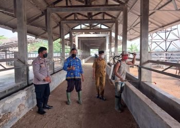 Bhabinkamtibmas Polsek Cibadak Polres Lebak Dampingi Kepala UPTD Pembibitan Ternak Semprotkan Cairan Disinfektan Ke Kandang Hewan Ternak di Desa Bojong Leles