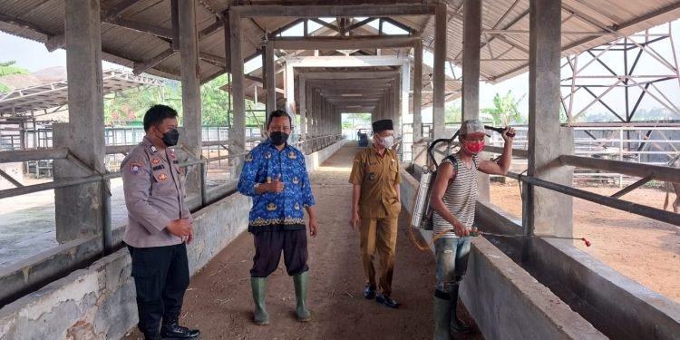 Bhabinkamtibmas Polsek Cibadak Polres Lebak Dampingi Kepala UPTD Pembibitan Ternak Semprotkan Cairan Disinfektan Ke Kandang Hewan Ternak di Desa Bojong Leles