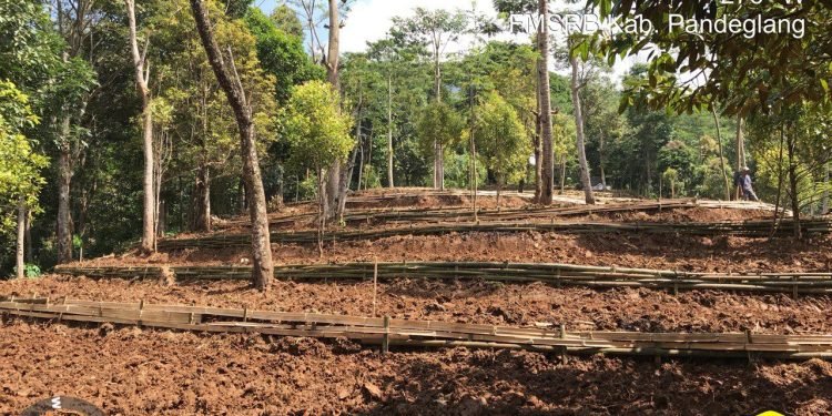 Poktan Taruna Mandiri dan Poktan Cinyurup Mandiri Laksanakan Kegiatan Terasering