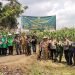 Panen Raya jagung Pulut Ungu, Kapolsek Mancak Polres Cilegon Polda Banten Dampingi Rombongan Kodim Cilegon.