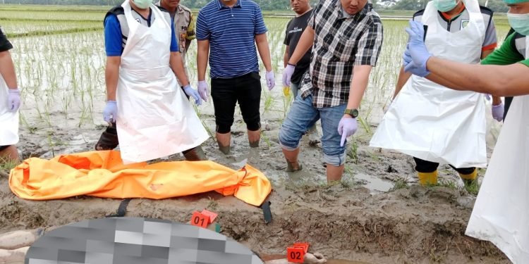 Respon Cepat Polresta Serang Kota Cek dan Olah TKP Temu Mayat di Persawahan