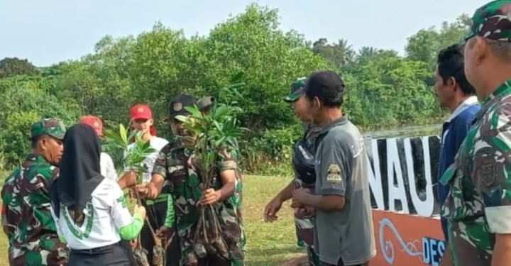 TNI Peduli Kelestarian Alam dan Lingkungan  Koramil 0313 Malingping Kodim 0603 Lebak Tanam  Pohon Mangrove