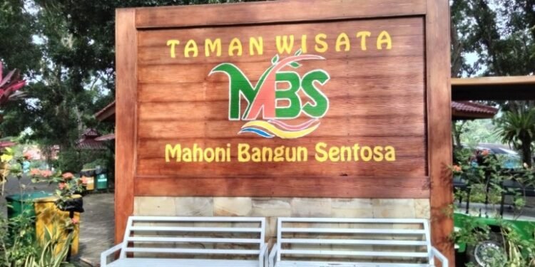 Tempat Wisata Strategis Di Pusat Kota Bernama Mahoni Bangun Sentosa