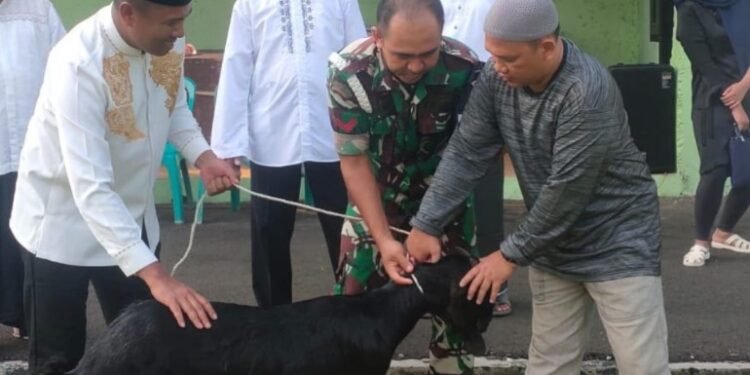 Dandim 0602/Serang Didampingi Kasdim Serahkan Hewan Kurban Untuk Ponpes Riadul Awamil