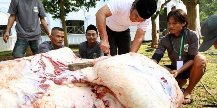 Pj Gubernur Banten Al Muktabar Sembelih Sapi Kurban Bantuan Presiden Jokowi