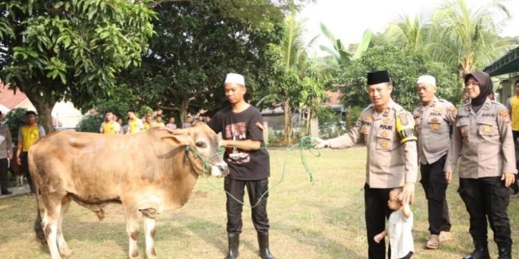 Polres Cilegon  Melaksanakan Pemotongan Hewan Kurban Idul Adha 1445 H