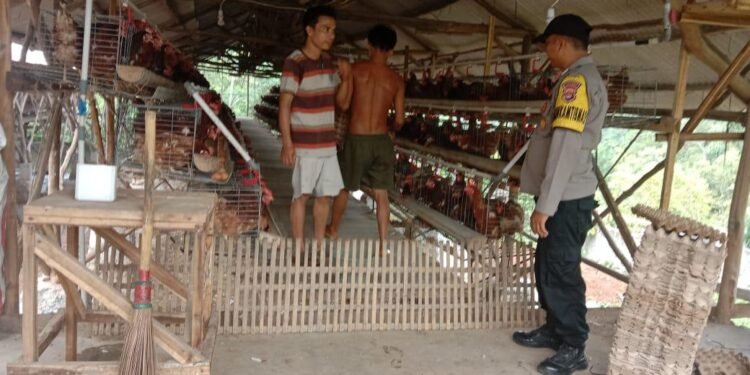 Inisiatif Polsek Cinangka untuk Memberdayakan Masyarakat Pedesaan melalui Pertanian Berkelanjutan