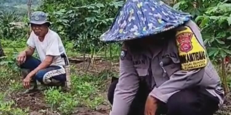 DUKUNG KETAHANAN PANGAN, ANGGOTA BHABINKAMTIBMAS POLSEK PURWAKARTA POLRES CILEGON SAMBANGI POKTAN