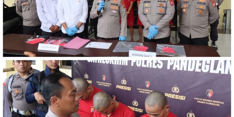 Polres Pandeglang Berhasil Ungkap Kasus Pencurian Kerbau