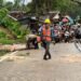 Gerak Cepat Polsek Malingping Polres Lebak Mendatangi TKP Pohon Tumbang