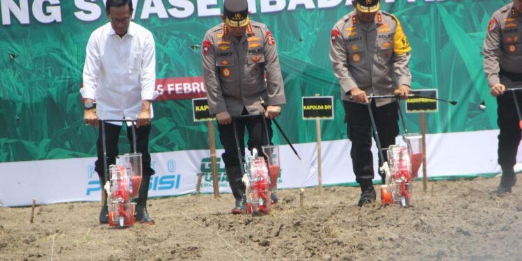 Kapolri dan Gubernur Yogyakarta Sri Sultan Hamengku Buwono X Menanam Jagung Bersama