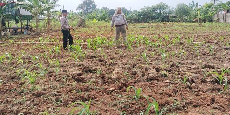 Dalam mendukung Program Ketahanan Pangan Bripka Landung Setyawan berikan motivasi kepada warga di Desa Pasar Kemis