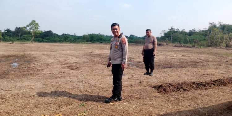 Kapolsek Tigaraksa Tinjau Lahan Penanaman Jagung Hibrida