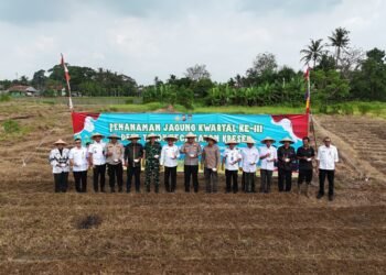 Penanaman Jagung Serentak Bersama Kapolri, Kapolresta Tangerang Siap Dukung Ketahanan Pangan di Setiap Tahapan
