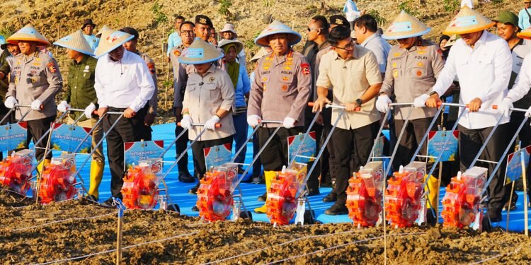 Kapolri: Pembiayaan Hingga Distribusi Jagung Akan Libatkan Koperasi Merah Putih