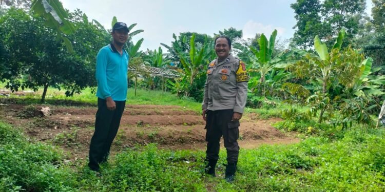 Bhabinkamtibmas Polsek Rangkasbitung Polres Lebak Temui Petani Cabe Dukung Program Ketapang