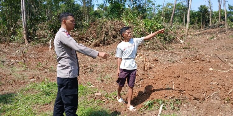 Semangat, Bhabinkamtibmas Polsek Cimarga Polres Lebak Aktif Lakukan Pengecekan Lahan Pangan Yang Akan Ditanami Jagung Hibrida