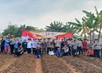 Polresta Tangerang dan Dinas Pertanian Tanam Jagung Serentak di Cikupa, Wujudkan Ketahanan Pangan Lewat Program PAT Commander Wish Kapolresta