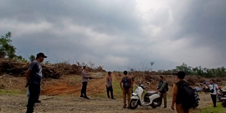 Sukseskan Ketapang Nasional, Kapolsek Cimarga Polres Lebak Aktif Monitoring Lahan Pangan Yang Akan Ditanami Jagung Hibrida Di Desa Sangiangjaya Cimarga