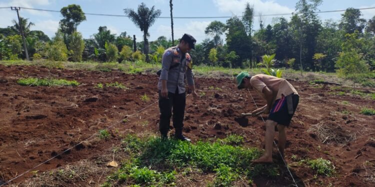 Anggota Polsek Gunungkencana Melaksanakan Monitoring Pembukaan Dan Pengolahan Lahan Tanam Jagung Hibrida Di Desa. Gunungkendeng Kec. Gunungkencana