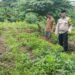 Bentuk Dukungan Program Ketahan Pangan Nasional Personil Polsek Balaraja Melaksanakan Monitoring Lahan Warga Binaan di Sektor Pertanian (Sayuran Cabe)