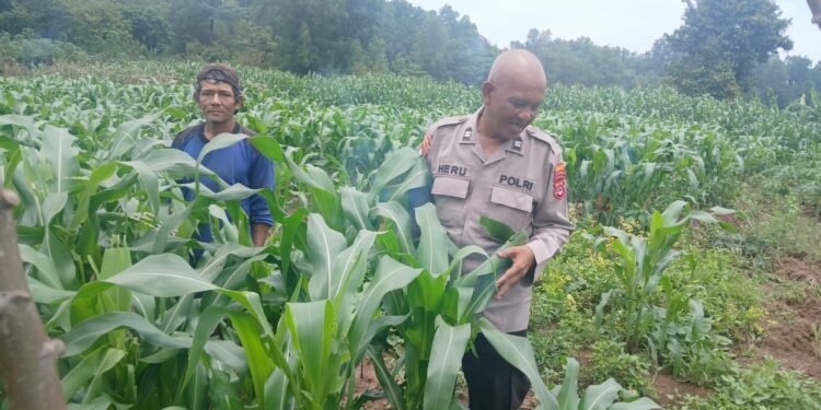 Bhabinkamtibmas Sambangi Warga Kampung Rancalutung