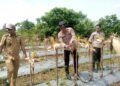 Panen Jagung di Desa Peusar, Polsek Panongan Dukung Ketahanan Pangan Nasional