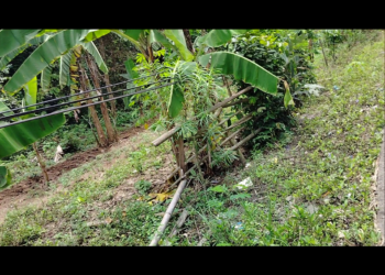 Diduga kabel Telkomsel jatuh ke Bawah di jalan Desa Sukamanah kec.Rangkasbitung kab.Lebak