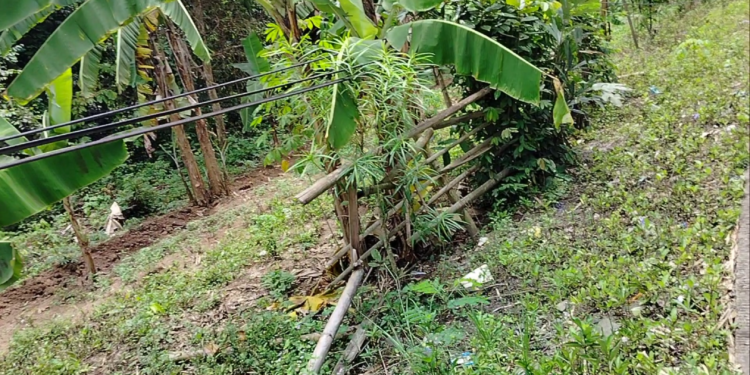 Diduga kabel Telkomsel jatuh ke Bawah di jalan Desa Sukamanah kec.Rangkasbitung kab.Lebak