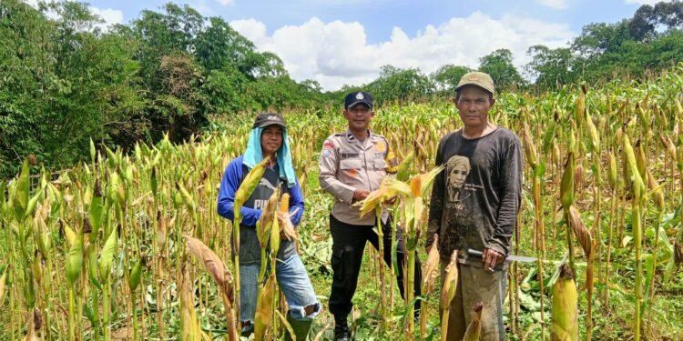 Polsek Panongan Galakkan Ketahanan Pangan Bersama Warga Desa Ranca Iyuh
