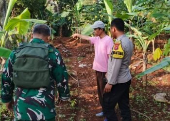 Bhabinkamtibmas Polsek Pulomerak Dukung Program Ketahanan Pangan, Lakukan Perawatan Tanaman Jagung