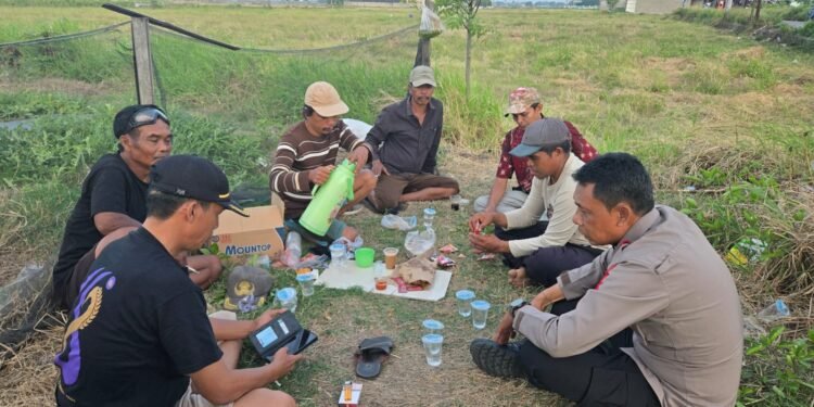 POLSEK KRONJO CEK LAHAN JAGUNG PROGRAM KETAHANAN PANGAN DI DESA MEKAR BARU