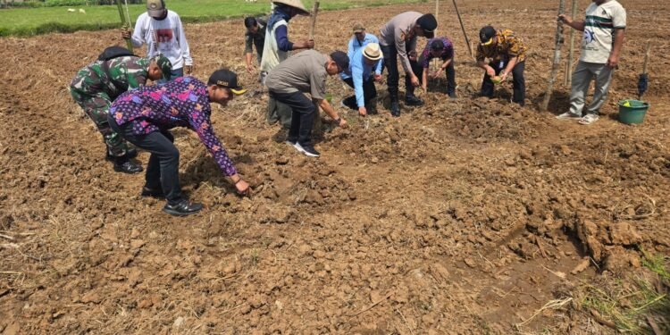 POLSEK KRONJO TANAM JAGUNG DI LAHAN 2 HEKTAR UNTUK DUKUNG SWASEMBADA PANGAN 2025