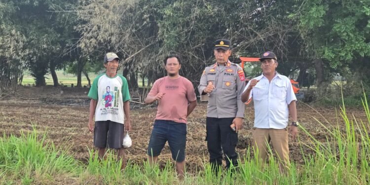 POLSEK KRONJO LAKUKAN PEMANTAUAN LAHAN JAGUNG PROGRAM KETAHANAN PANGAN