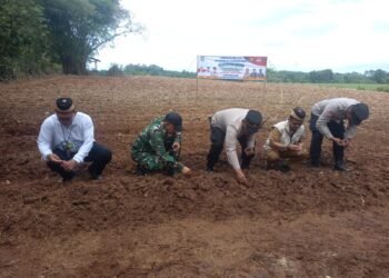 Polsek Panongan Laksanakan Penanaman Jagung Hybrida Program Ketahanan Pangan 1 Desa 2 Hektare