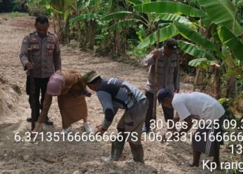 Anggota Polsek Rangkasbitung Polres Lebak Bersama Prades dan Petani Desa Aweh Tanam Bibit Jagung Hibrida Kuartal IV di Kampung Rangkong